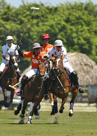photos-lechuza-vs-erg 3 polomagazine.jpg