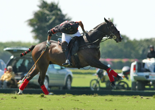 photos-les-armour-cup-finals 7 polomagazine.jpg