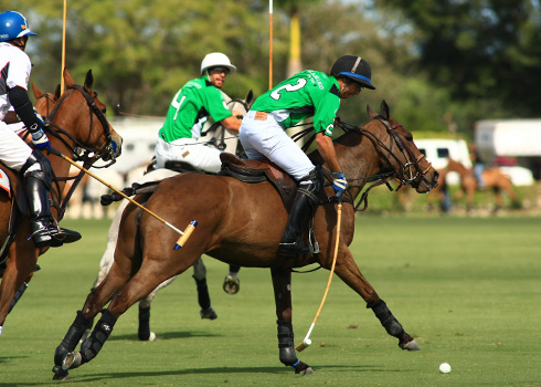 photos-of-erg-vs-villa-del-lago-2-2-13 3 polomagazine.jpg