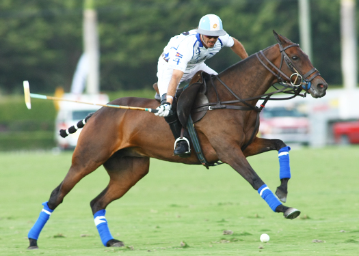 photos-uspa-piaget-gold-cup-final 2 polomagazine.jpg