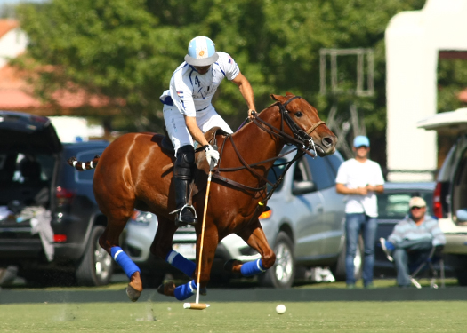 photos-valiente-vs-audi 7 polomagazine.jpg