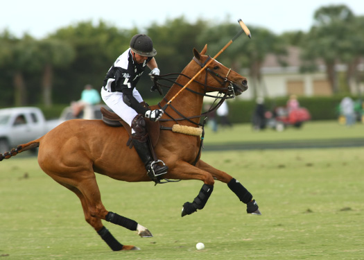 photos-zacara-vs-mt-brilliant-gold-cup 1 polomagazine.jpg