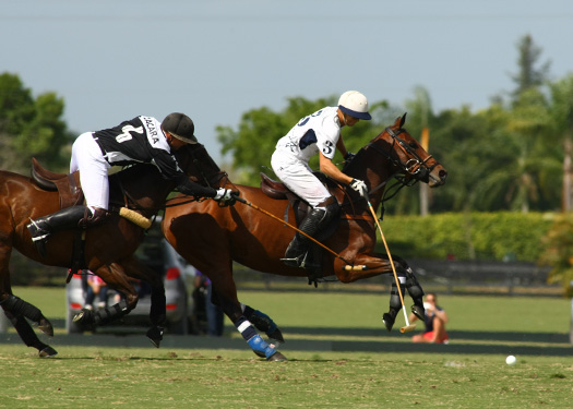 photos-zacara-vs-mt-brilliant-gold-cup 2 polomagazine.jpg