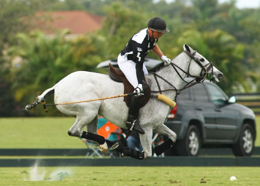 photos-zacara-vs-mt-brilliant-gold-cup 3 polomagazine.jpg