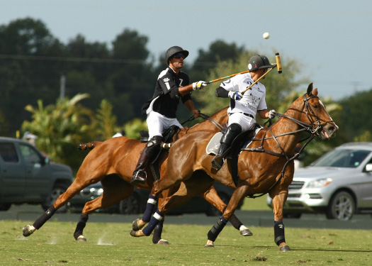 photos-zacara-vs-mt-brilliant-gold-cup 4 polomagazine.jpg