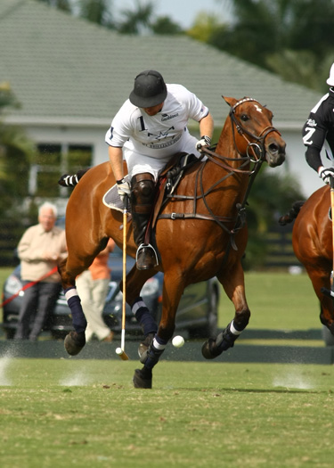 photos-zacara-vs-mt-brilliant-gold-cup 5 polomagazine.jpg