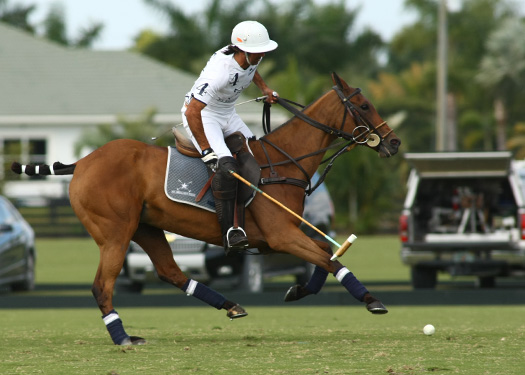 photos-zacara-vs-mt-brilliant-gold-cup 6 polomagazine.jpg