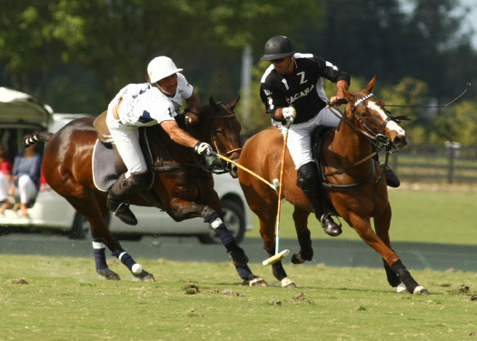 photos-zacara-vs-mt-brilliant-gold-cup 7 polomagazine.jpg