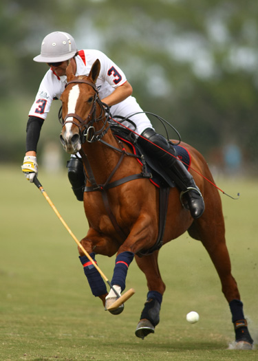 uspa-piaget-gold-cup-photos-lechuza-vs-piaget 2 polomagazine.jpg