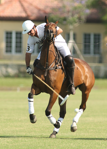 photos-from-palm-city-open 2 polomagazine.jpg