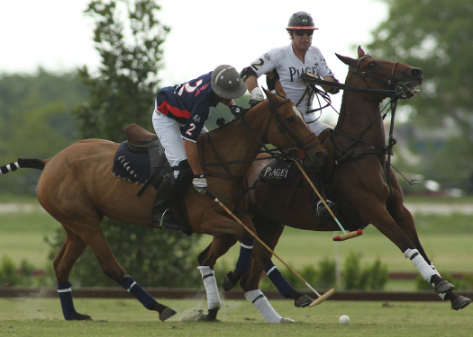 photos-from-palm-city-open 7 polomagazine.jpg