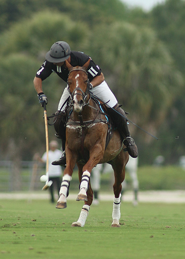 photos-from-president-s-cup-qualifier-4-12-13 2 polomagazine.jpg