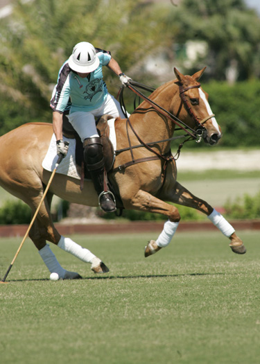photos-from-sunday-s-round-robin 2 polomagazine.jpg