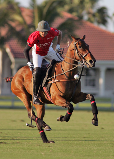 photos-uspa-spring-challenge-finals 2 polomagazine.jpg