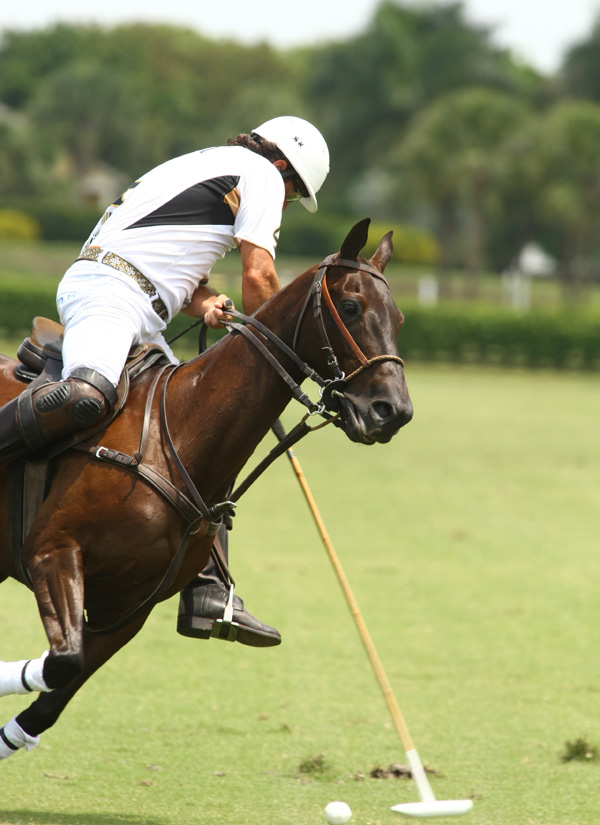 piaget-vs-longfield-uspa-eastern-challenge-photos 7 polomagazine.jpg