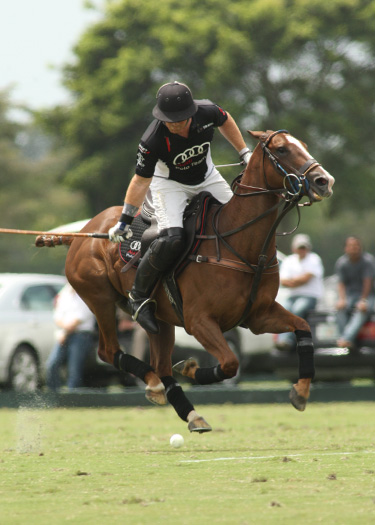 polo-photos-erg-vs-audi-4-7-13 7 polomagazine.jpg