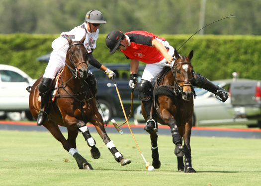 us-open-photos-alegria-vs-erg 2 polomagazine.jpg