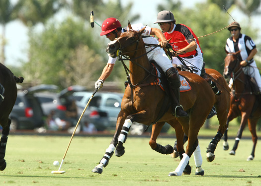 us-open-photos-alegria-vs-erg 3 polomagazine.jpg
