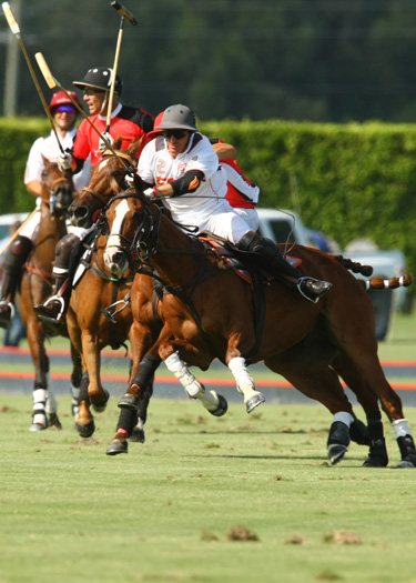 us-open-photos-alegria-vs-erg 5 polomagazine.jpg