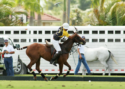 us-open-photos-faraway-vs-lechuza-4-11-13 4 polomagazine.jpg