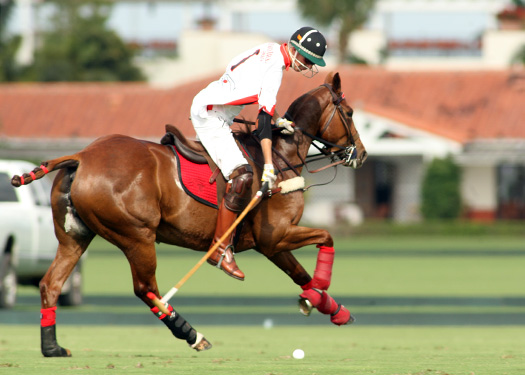 us-open-photos-orchard-hill-vs-alegria-4-11-13 8 polomagazine.jpg