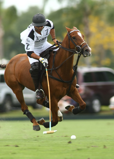 us-open-photos-zacara-vs-faraway 2 polomagazine.jpg