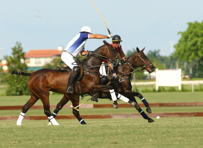 uspa-sun-cup-photos-by-alex-pacheco 2 polomagazine.jpg