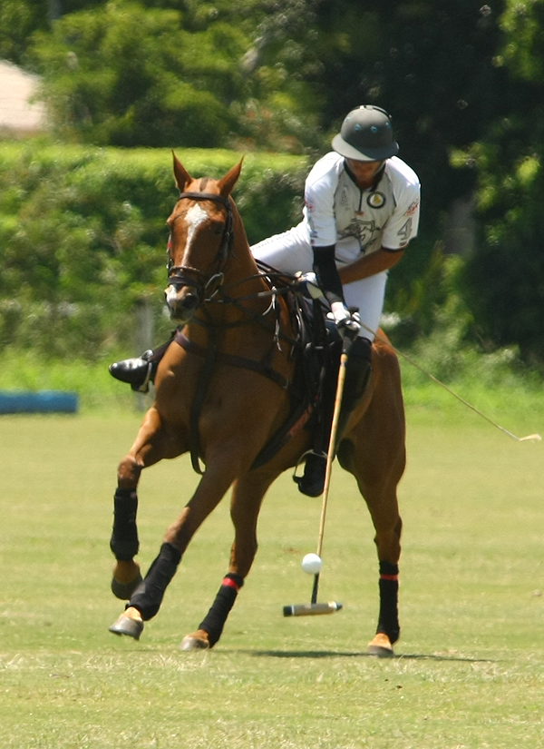 uspa-sun-cup-photos 1 polomagazine.jpg