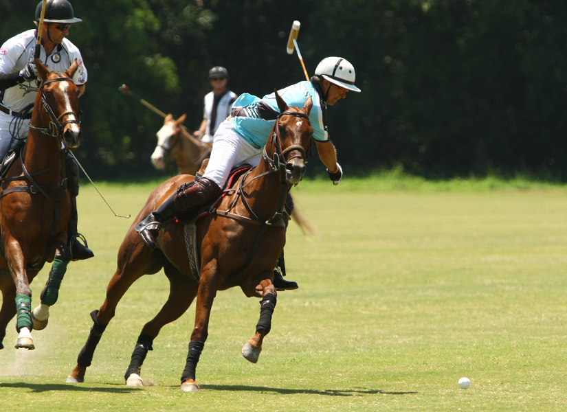 uspa-sun-cup-photos 4 polomagazine.jpg