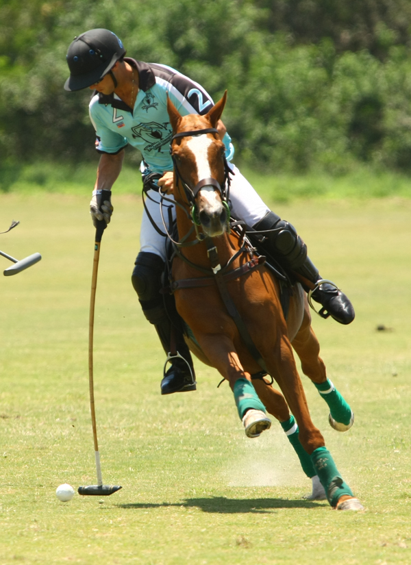 uspa-sun-cup-photos 6 polomagazine.jpg