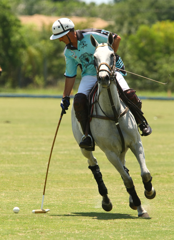 uspa-sun-cup-photos 7 polomagazine.jpg