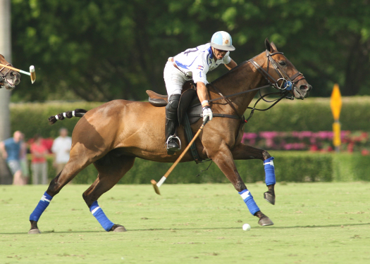 zacara-wins-us-open-for-second-consecutive-time 3 polomagazine.jpg