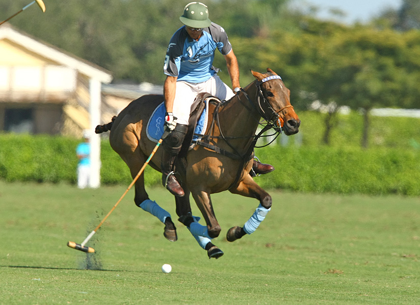 gosse-creek-vs-hawk-hill-12-goal-grand-champions 8 polomagazine.jpg