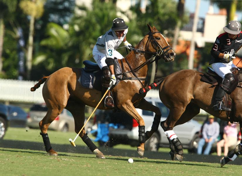 los-machitos-heathcote-vs-el-cabure 6 polomagazine.jpg