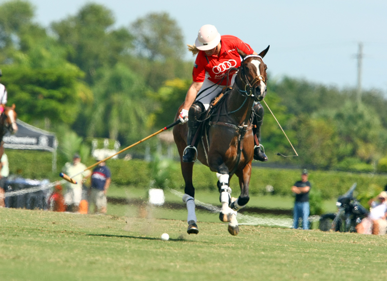 wellington-chamber-of-commerce-cup-grand-champions-polo-club 1 polomagazine.jpg