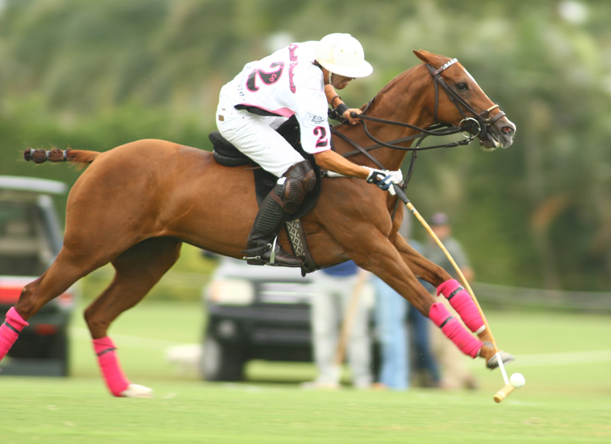 photos-crab-orchard-vs-audi 2 polomagazine.jpg