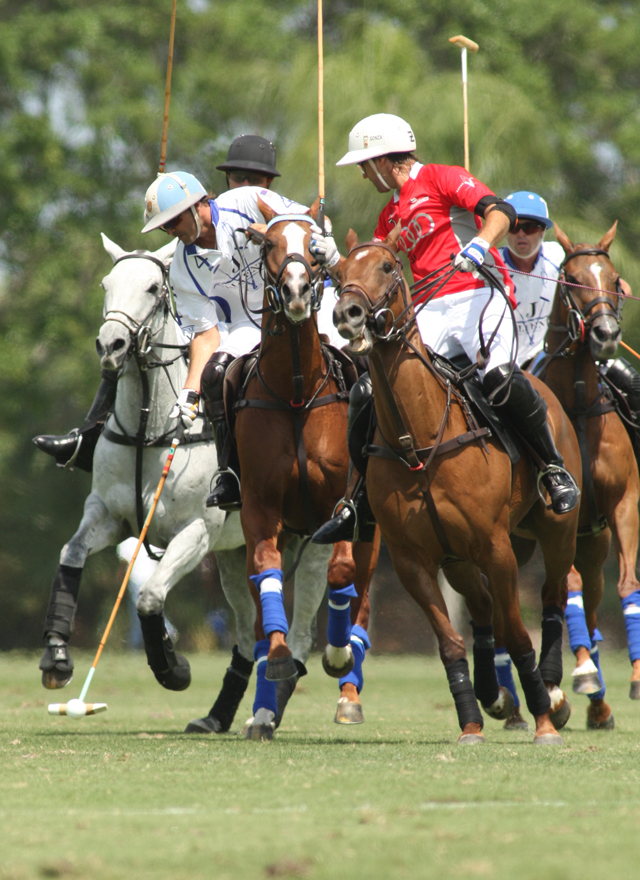 photos-piaget-gold-cup-semifinals-valiente-14-audi-10 3 polomagazine.jpg