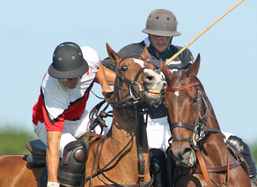 photos-us-open-alegria-10-audi-8 1 polomagazine.jpg