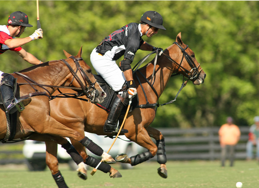 photos-us-open-alegria-10-audi-8 2 polomagazine.jpg