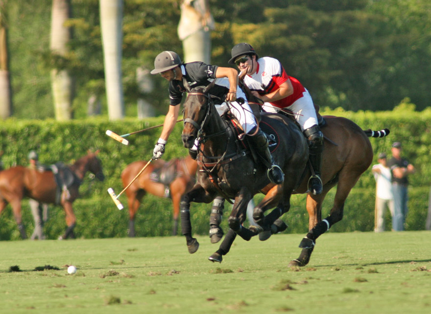 photos-us-open-alegria-10-audi-8 6 polomagazine.jpg