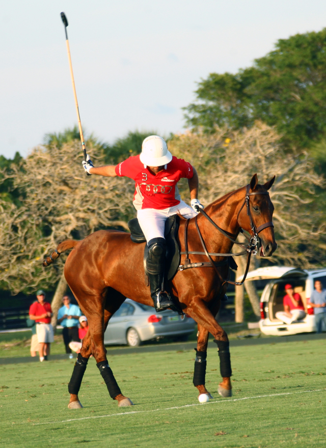 photos-us-open-thursday-results-flight-options-10-audi-9 5 polomagazine.jpg