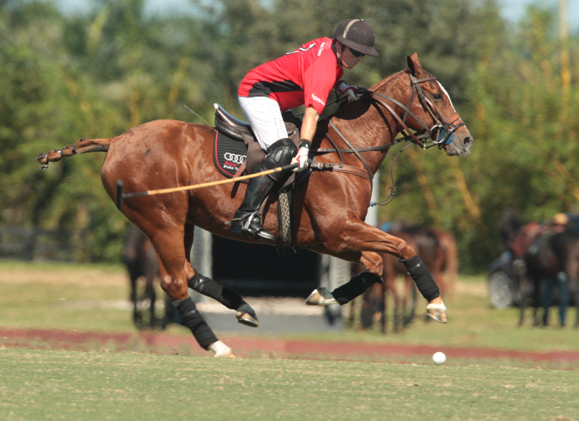 final-uspa-fall-classic-photos 2 polomagazine.jpg