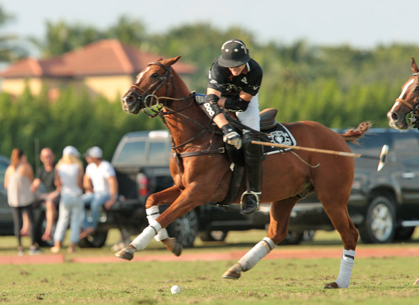 grand-champions-today-photo-s 19 polomagazine.jpg