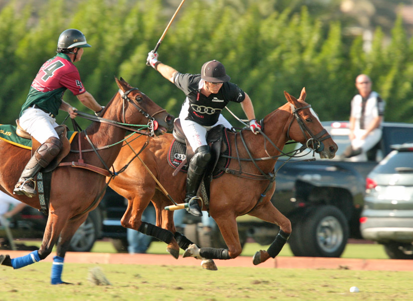 grand-champions-today-photo-s 22 polomagazine.jpg