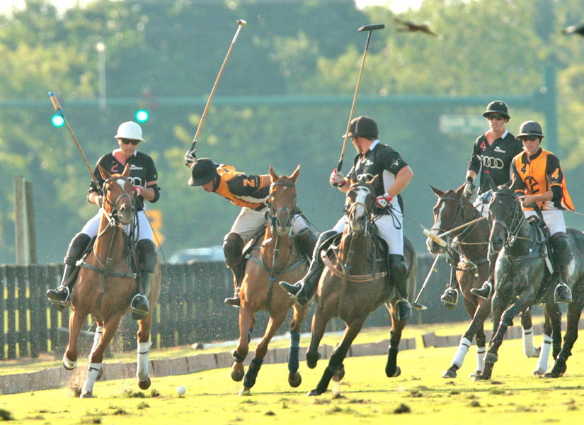 grand-champions-today-photo-s 27 polomagazine.jpg