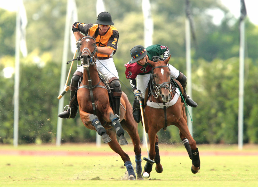 grand-champions-today-photo-s 2 polomagazine.jpg