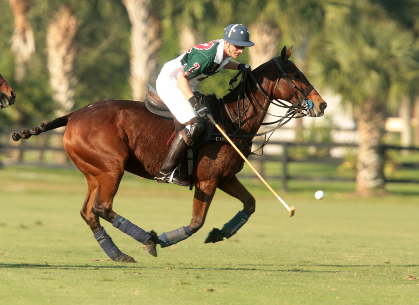 palm-restaurant-invitational-day-2-friday 7 polomagazine.jpg