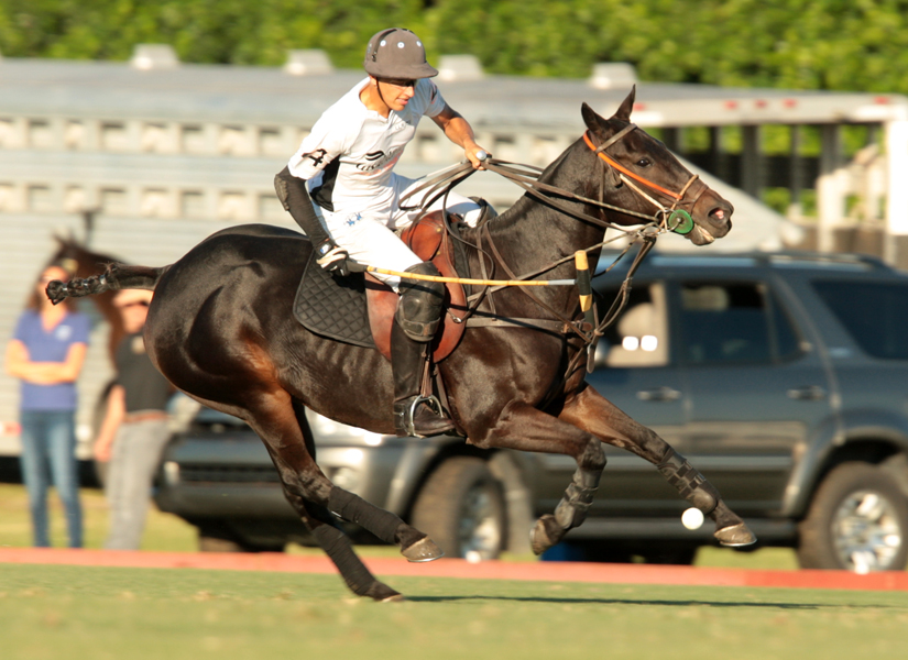 photos-audi-pb-equine-vs-casablanca-photo-credit-alex-pacheco 12 polomagazine.jpg