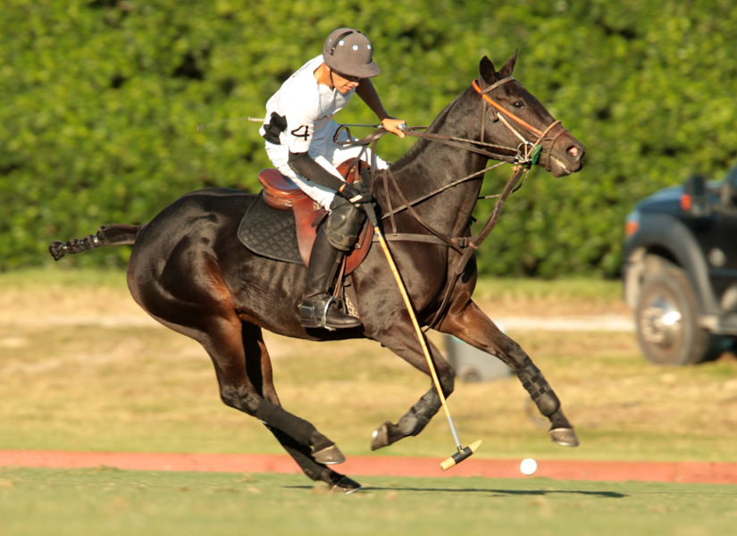 photos-audi-pb-equine-vs-casablanca-photo-credit-alex-pacheco 13 polomagazine.jpg