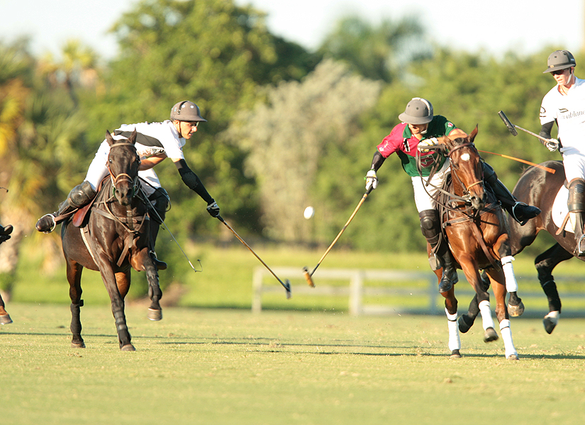 photos-audi-pb-equine-vs-casablanca-photo-credit-alex-pacheco 14 polomagazine.jpg